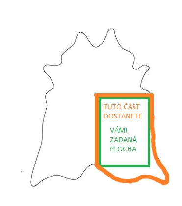 Snímek obrazovky 2025-10-11 192440